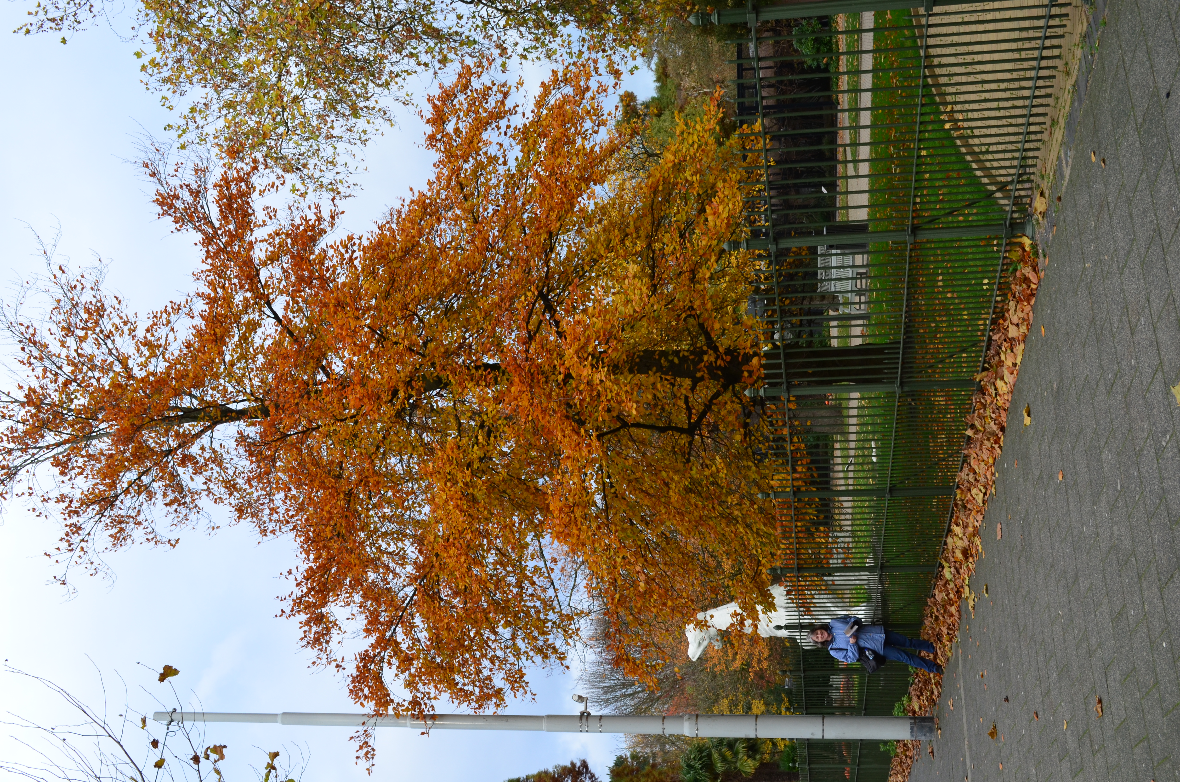 ./2017/19 - Viking Lif/13 - Amsterdam, The Netherlands/DSC_0661.JPG